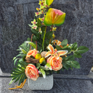D72 65x40 cm