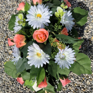 D65 55x35 cm