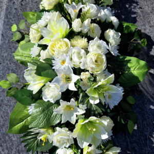 D74 80x35 cm
