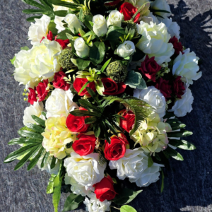 D81 120x50 cm
